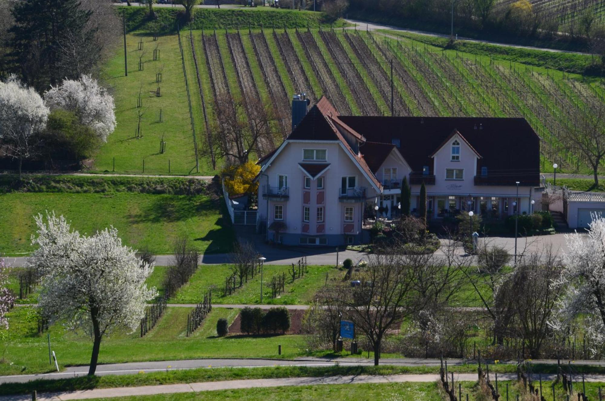 Castell Hotel & Restaurant Leinsweiler Zewnętrze zdjęcie